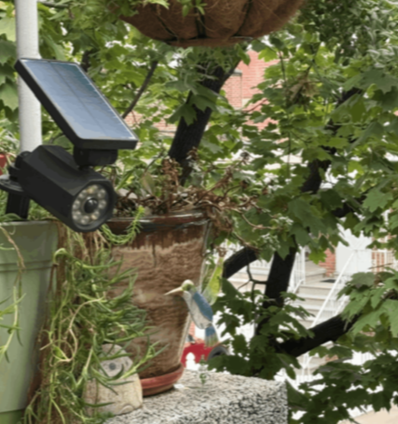 Bionic Spotlight customer James M. ~ Austin, USA